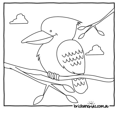 australian animals colouring pages brisbane kids coloring home