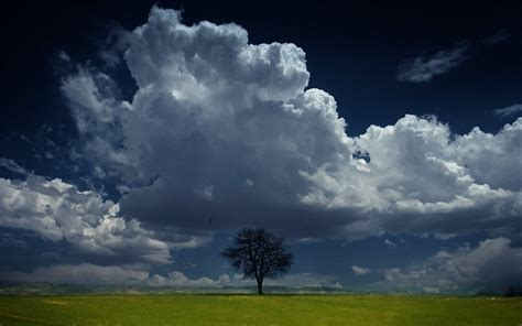 nature landscape trees sky clouds wallpapers hd