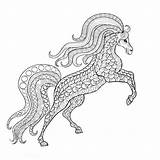 Paard Volwassenen Paarden sketch template