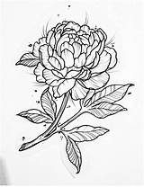 Tattoo Peony Flower Drawing Drawings Peonies Coloring Back Getdrawings Tattoos рисунки на татуировки выбрать доску sketch template