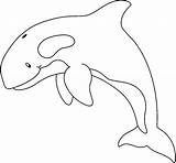 Orca Delfines Marinos Animalitos Infantil Niños Einschulung Malvorlagen Basteln Vacío sketch template