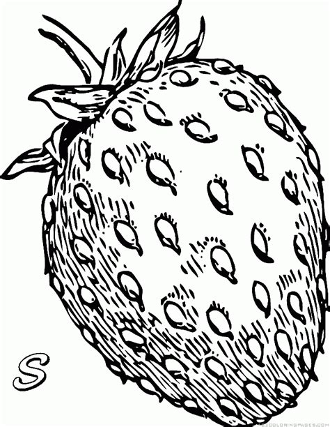 strawberry coloring pages part