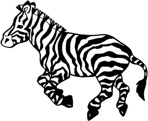 zebra coloring pages