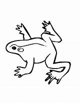 Frog Coloring Pages Color Small Jumping Drawing Animals Tree Dart Poison Clipart Wildlife Children Clipartmag Via Popular sketch template