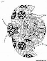 Mandalas Therapie Zentangle Coloriages Zentangles Insectes Coccinelle Insetti Divers Colorier Jecolorie Mariquita Thérapie Loisirs Miraculous Grafici Mariquitas Pagine Eklablog Lire sketch template