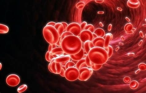 Lipi Bio Farma Berhasil Kembangkan Stimulan Pembentuk Sel Darah Merah