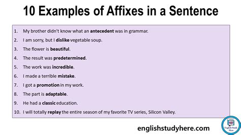 examples  affixes   sentence english study