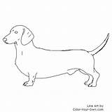 Dachshund Teckel Traceable Hond Kleurplaten sketch template
