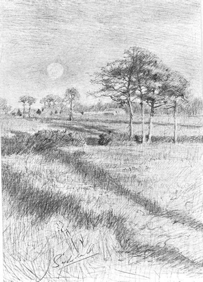 drawing   field  trees  joseph syddall