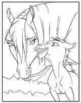 Kleurplaten Kleurplaat Paarden Veulen Paard Veulens Pony Ponys Downloaden Uitprinten Terborg600 Tekenen sketch template