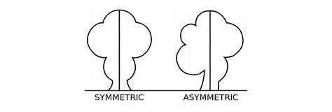 symmetry  asymmetry recalling basic design principles ixdf