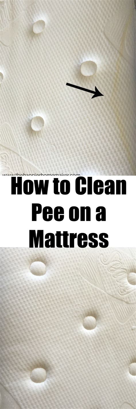 clean pee   mattress  happier homemaker mattress