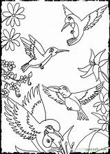 Coloring Pages Cordillera Oriental Hummingbird Flower 63kb 1024px Getcolorings Choose Board sketch template