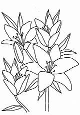 Coloring Pages Flower Flowers Printable These Kidsunder7 Kids sketch template