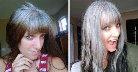 blend gray hair demarcation   home