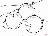 Apples Coloring Three Drawing Pages Fruit Fruits Printable Apple sketch template