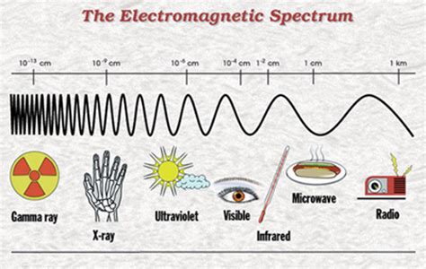 roy riggs b sc holistic geobiology quick guide to reducing electro