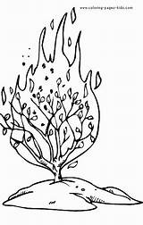 Bush Burning Coloring Luxury sketch template