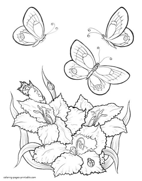 butterflies flying  flowers coloring pages printablecom