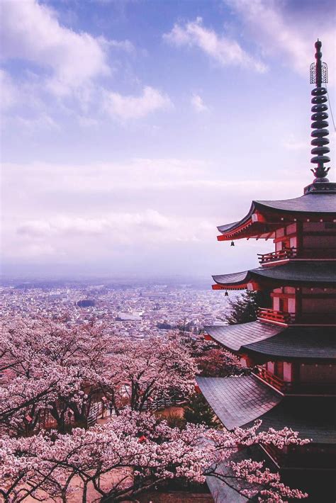 japanese sakura wallpapers top free japanese sakura