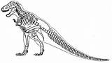Skeleton Esqueleto Colorear Tyrannosaurus Dinosaur Dinosaurio Tirano Saurio Dinossauro Skeletons sketch template