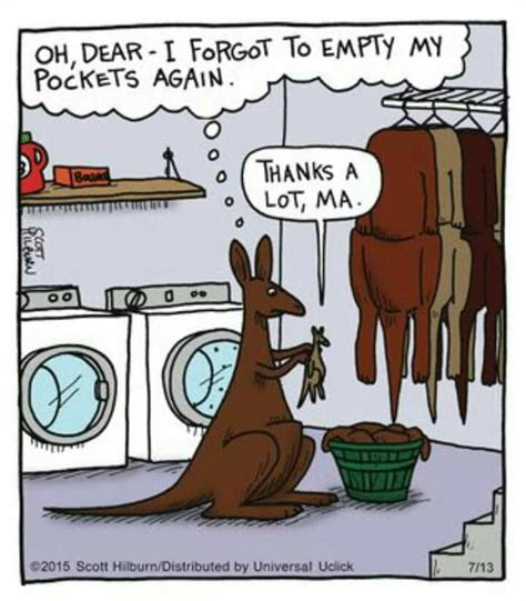 pin by suzanne koopman on too funny 8 laundry humor funny cartoons argyle sweater comic