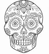 Skull Coloring Pages Bones Crossbones Pirate Adults Printable Getcolorings Rose Roses Color Sugar Skulls sketch template