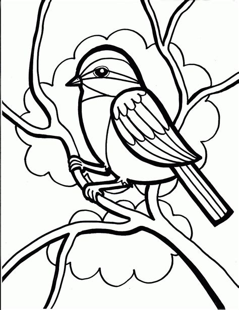 printable coloring pages  kids bird coloring pages animal