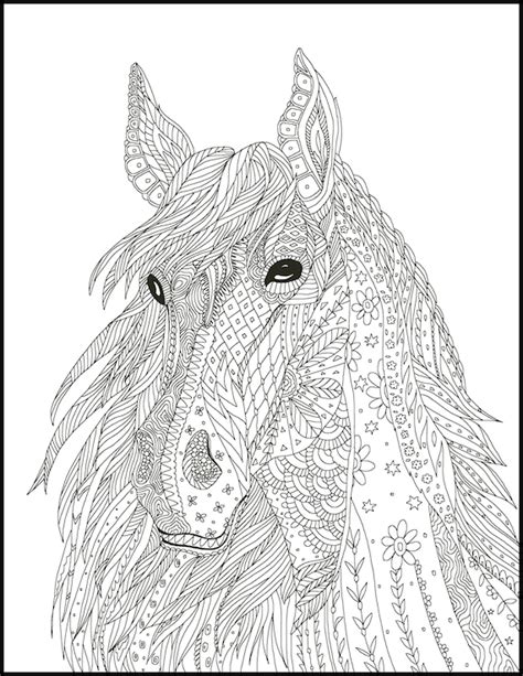 horse coloring pages coloring pages  horse lovers horse