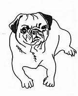 Pug Puppy Getcolorings sketch template