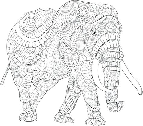 elephant coloring pages  adults  getcoloringscom
