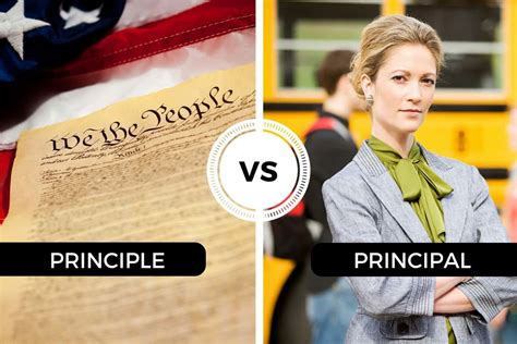 principle  principal differences