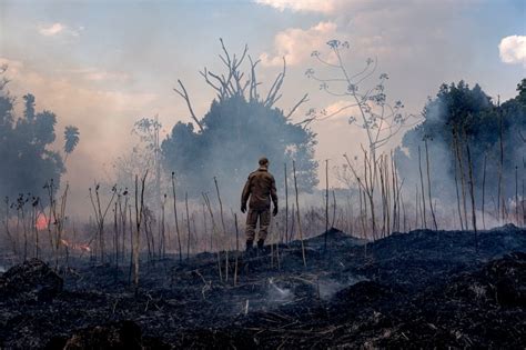 amazon rainforests    fire  trump wont act congress