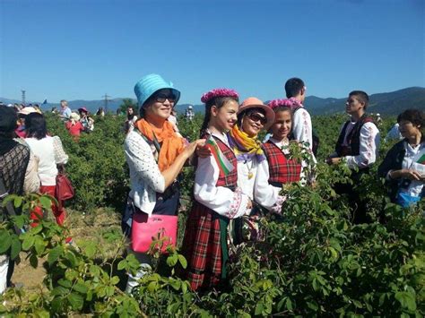 rose festival  days    deals  bulgaria tours