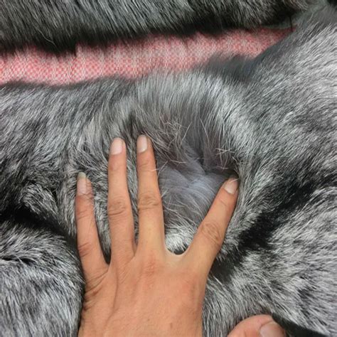 wholesale natural color raw silver fox fur skin real pelt  garment