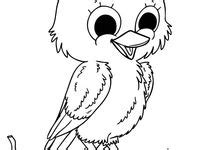 canary bird coloring pages ideas bird coloring pages canary birds