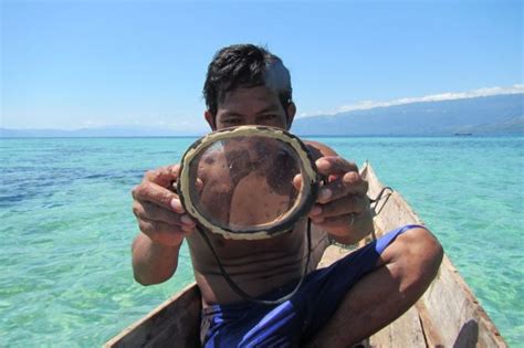Bajau People Evolved Bigger Spleens For Free Diving Bbc News