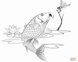 Coloring Carp Jumping Pages Catching Dragonfly Drawing sketch template