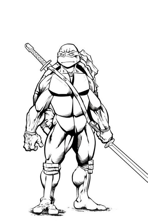 leonardo ninja turtle drawing    clipartmag