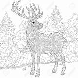 Stag Coloring Designlooter Antistress Stylized Reindeer Deer Sketch Cartoon Adult Christmas Book 82kb 1300 1300px sketch template