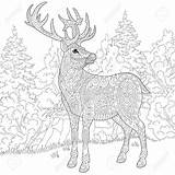 Stag sketch template