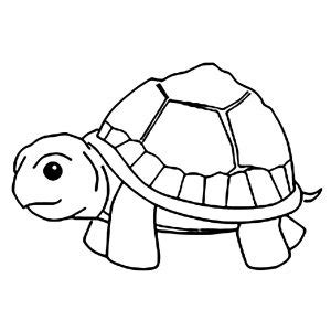 turtles  printable coloring pages  kids