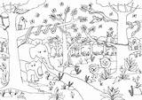 Selva Dschungeltiere Giungla Animali Dżungla Bestcoloringpagesforkids Kolorowanka Kolorowanki Magiczna Dschungel Rainforest Getbutton 3ab561 Vögel Azcoloring sketch template