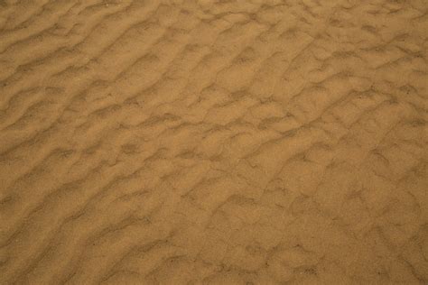 sand texture  stock photo public domain pictures