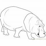 Hippopotamus Hippo Coloring Pages Kids sketch template