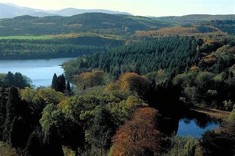 castlewellan lake assi forest park landscape northern ireland