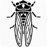 Cicada Drawing Line Icon Bug Fly Chinese Getdrawings sketch template