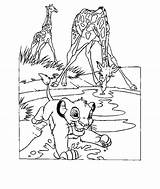 Lion King Coloring Pages Disney Simba Drawing Printable Animated Animals Kids Tree Library Popular Timon Odd Dr Last Books Coloringhome sketch template