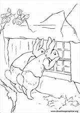 Rabbit Pedro Coelho Pintar sketch template
