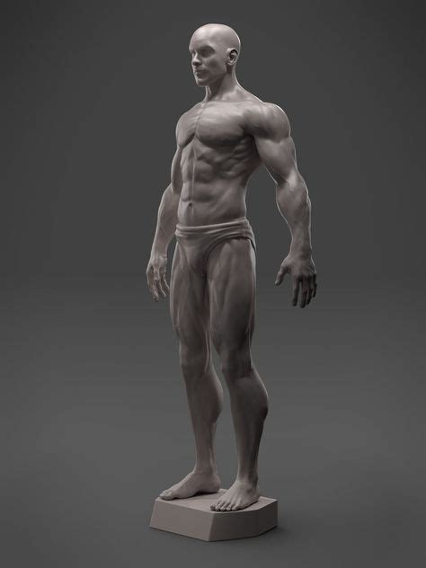 male anatomy sculpture 3d model stl png 1200×1600 print models art